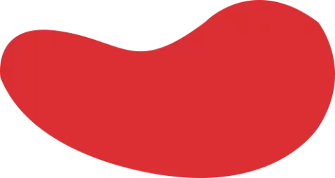 白鲸加速器【官网入口】｜白鲸加速器