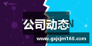 公司动态